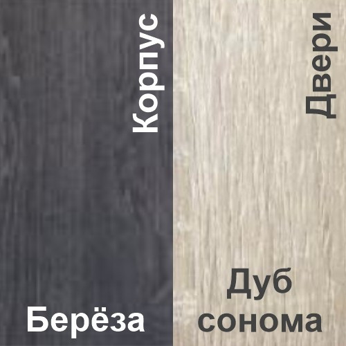 Шкаф-купе ЛАГУНА ШК 01-00 выбор цвета Береза+Дуб сонома - фото 2 - id-p212347589