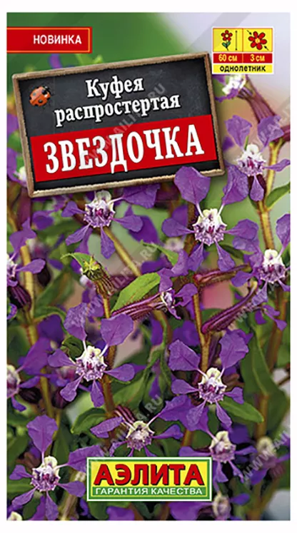 Куфея Звездочка распростертая 0,02г Аэлита