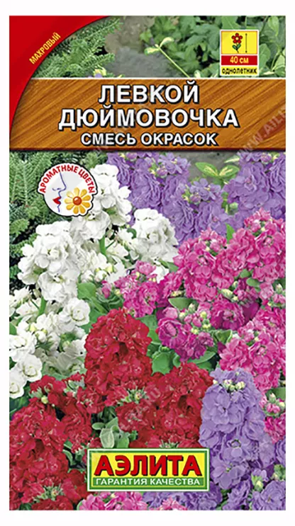 Левкой седой Дюймовочка карликовый смесь 0,1г Аэлита