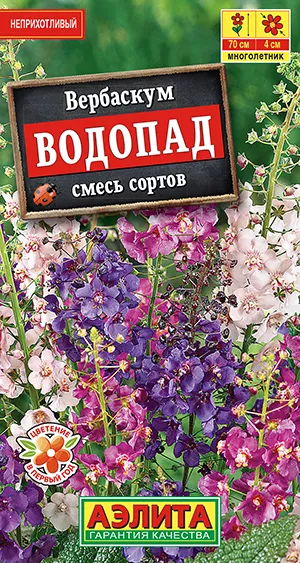 Вербаскум Водопад 0,1г Аэлита