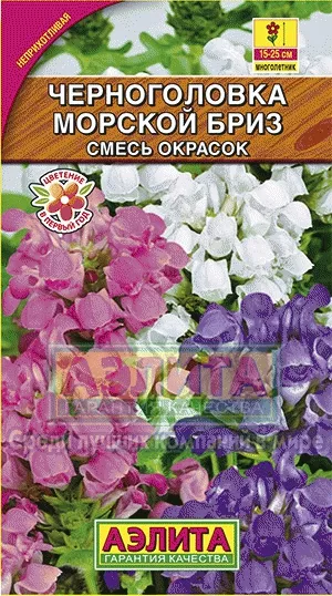 Черноголовка Морской бриз смесь 0,05г Аэлита