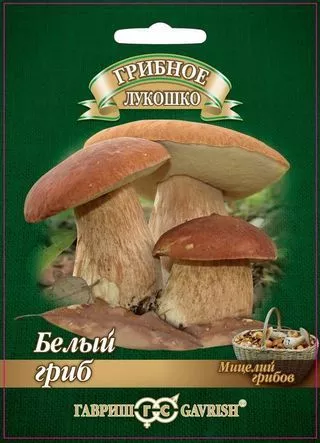 Мицелий грибов Белый гриб 15мл Гавриш - фото 1 - id-p199868702