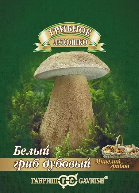 Мицелий грибов Белый гриб дубовый 15мл Гавриш - фото 1 - id-p174766532