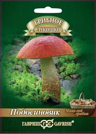 Мицелий грибов Подосиновик 15мл Гавриш - фото 1 - id-p94036272