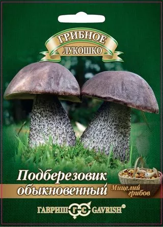 Мицелий грибов Подберезовик на зерновом субстрате 15мл Гавриш - фото 1 - id-p94036271