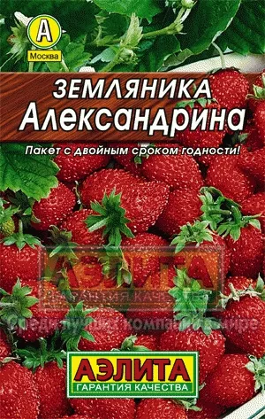 Земляника Александрина 0,05г Аэлита