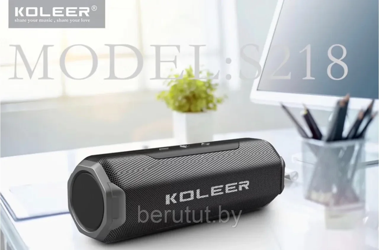 Колонка музыкальная портативная Bluetooth KOLEER S218 - фото 7 - id-p212424679