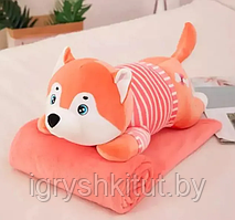 Мягкая игрушка-подушка 3 в 1 собака Хаски с пледом