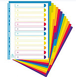 Разделитель для документов  Exacompta A4+, полипропилен, без маркировки, на 12 числовых делений, цветной, фото 2