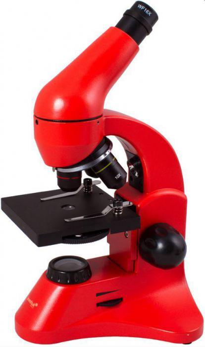 Детский школьный микроскоп для детей LEVENHUK RAINBOW 50L оранжевый - фото 1 - id-p208274751
