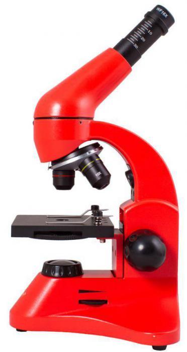 Детский школьный микроскоп для детей LEVENHUK RAINBOW 50L оранжевый - фото 2 - id-p208274751