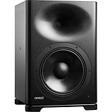 Студийный монитор Genelec S360AP Monitor SAM S360A black, фото 2