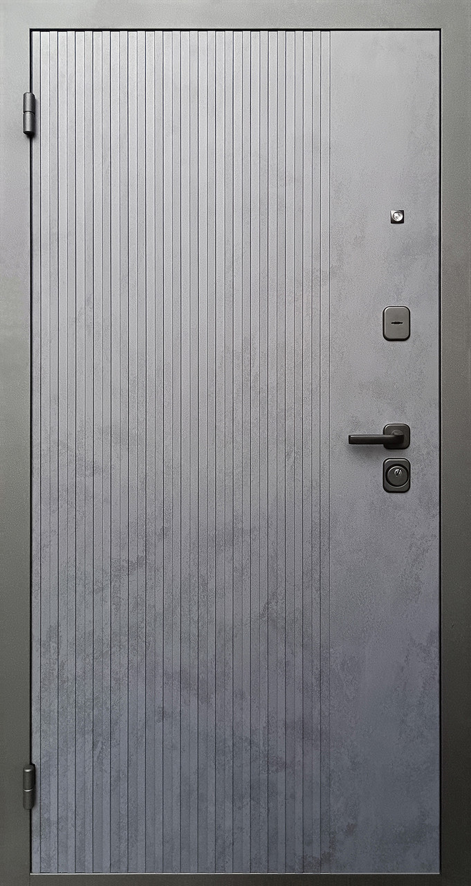 ПРОМЕТ "Рона" (2050х860 Левая) | Входная металлическая дверь - фото 3 - id-p212445804