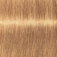 Schwarzkopf Крем-краска для седых волос Absolutes Igora Royal, 60 мл, 9-50