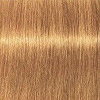 Schwarzkopf Крем-краска для седых волос Absolutes Igora Royal, 60 мл, 9-60