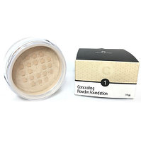 Anna Lotan Пудра рассыпчатая с SPF17 Камуфляж Concealing Powder Foundation, 14 гр