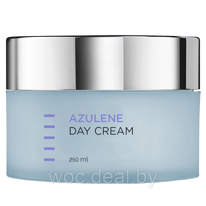 Holy Land Дневной крем для лица Day Cream Azulene, 250 мл - фото 1 - id-p212445620