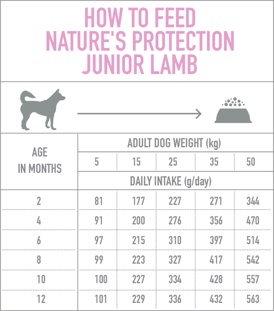 Nature's Protection Junior Lamb (ягненок), 7,5 кг - фото 3 - id-p212515454