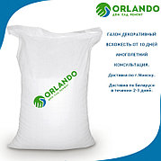 Газонная трава Orlando Коттедж 20кг