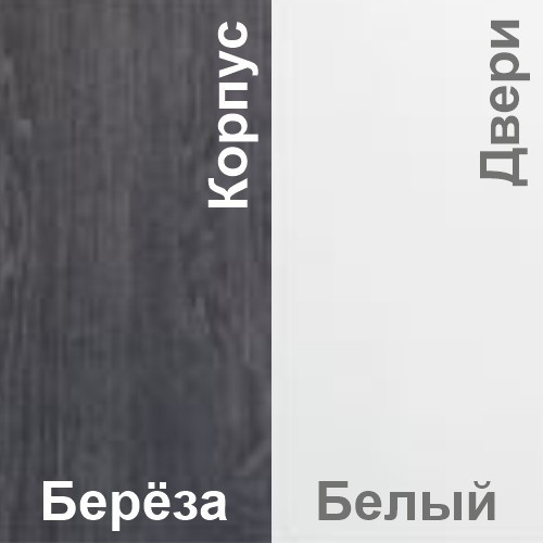 Шкаф-купе ЛАГУНА ШК 06-01 выбор цвета Береза+Белый - фото 3 - id-p212562184