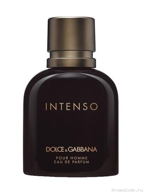 Мужская туалетная вода Dolce Gabbana Pour Homme Intenso edp 125ml - фото 2 - id-p212636682