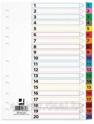 Разделитель для документов Q-connect Mylar А4, картон, с маркировкой на 20 числовых делений, цветной - фото 1 - id-p212660807