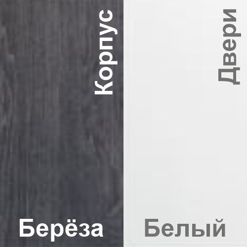 Шкаф-купе ЛАГУНА ШК 07-00 выбор цвета Береза+белый - фото 3 - id-p212664850