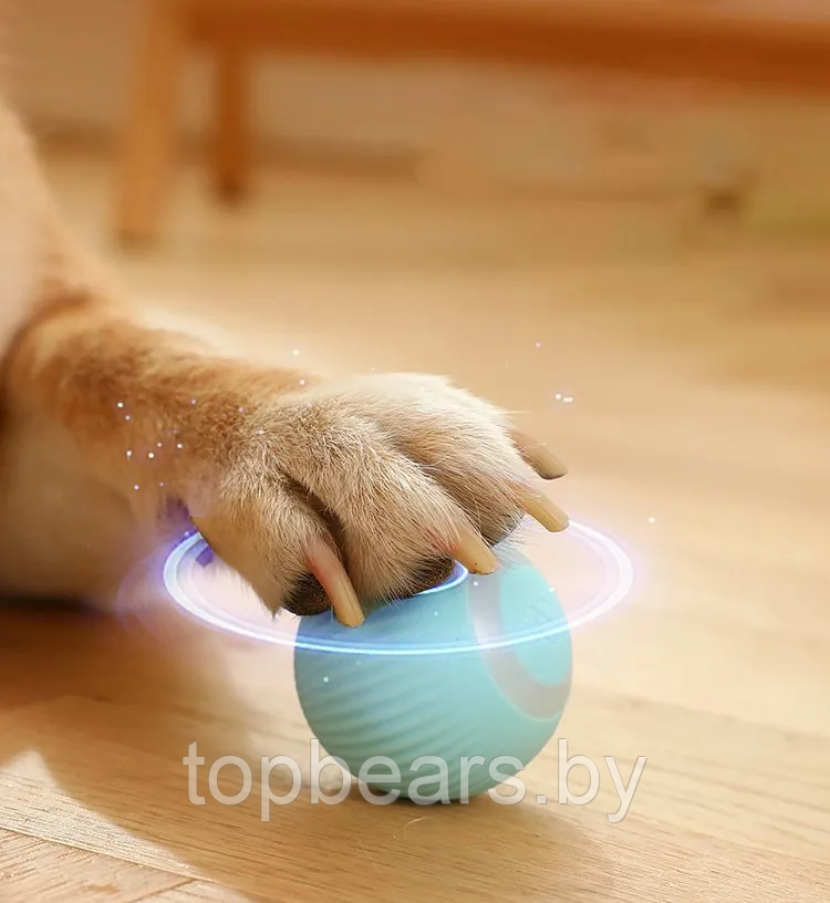 Интерактивная игрушка шарик - дразнилка для кошек и собак Smart rotating ball (2 режима работы) / Умный мяч / - фото 5 - id-p212674152