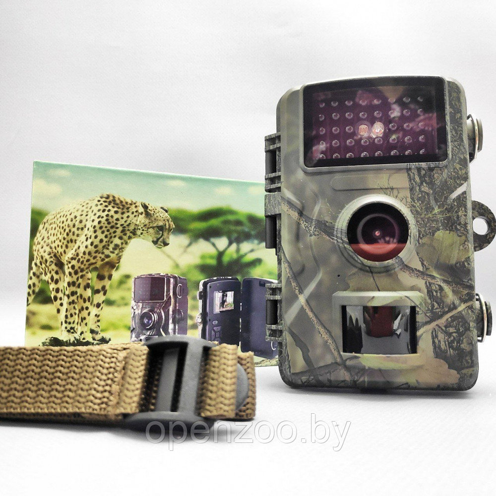 Охотничья камера наблюдения - фотоловушка с экраном 12 MP / 1080P / E55 / Видеокамера для охраны, охоты, - фото 9 - id-p212674313