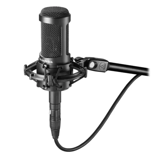 Студийный микрофон Audio-Technica AT2050 - фото 2 - id-p212696848