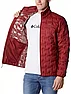 Куртка пуховая мужская Columbia Delta Ridge™ Down Jacket красный 1875902-664, фото 4