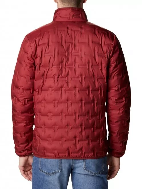 Куртка пуховая мужская Columbia Delta Ridge Down Jacket красный 1875902-664 - фото 2 - id-p212671042