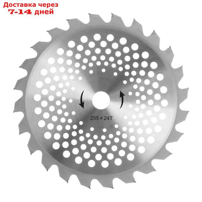 Нож для триммера TUNDRA, 255 х 25.4 мм, 24 зуба - фото 1 - id-p212677214