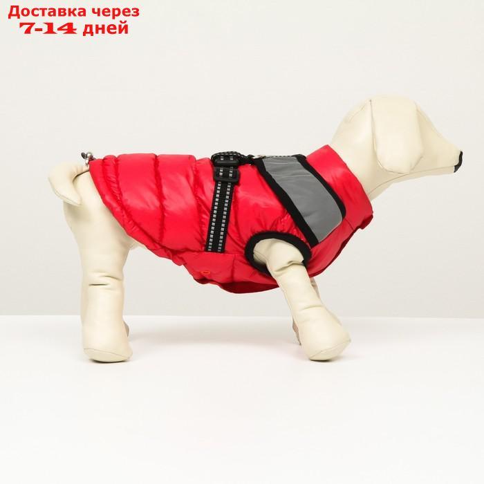 Куртка для собак со светоотражающей шлейкой, размер 8 (ДС 23 см, ОГ 30, ОГ 22 см), розовая - фото 3 - id-p212677228