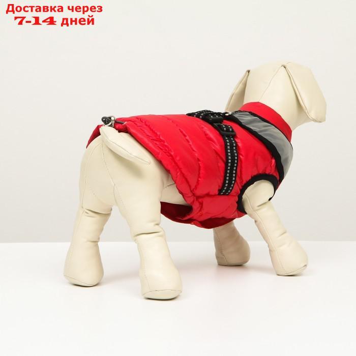 Куртка для собак со светоотражающей шлейкой, размер 8 (ДС 23 см, ОГ 30, ОГ 22 см), розовая - фото 4 - id-p212677228
