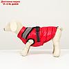 Куртка для собак со светоотражающей шлейкой,  размер 8 (ДС 23 см, ОГ 30, ОГ 22 см), розовая, фото 5