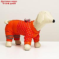 Комбинезон для собак "Горошек", размер 14 (ДС 32 см, ОГ 42 см, ОШ 31 см), красно-рыжая