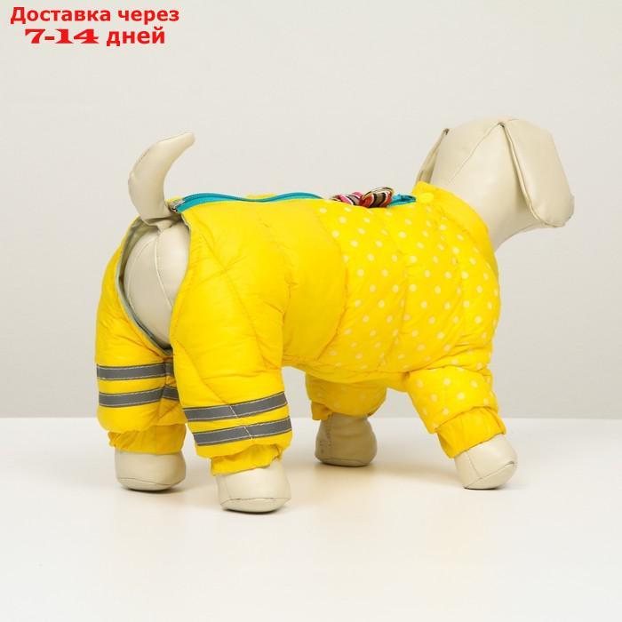 Комбинезон для собак "Горошек", размер 12 (ДС 28 см, ОГ 38 см, ОШ 27 см),жёлто-голубая - фото 3 - id-p212677233