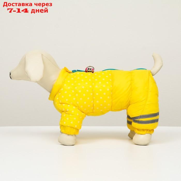 Комбинезон для собак "Горошек", размер 12 (ДС 28 см, ОГ 38 см, ОШ 27 см),жёлто-голубая - фото 4 - id-p212677233