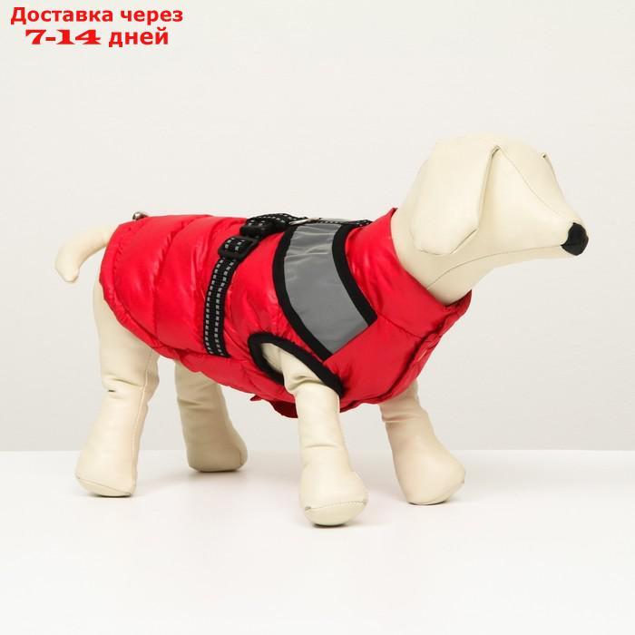 Куртка для собак со светоотражающей шлейкой, размер14 (ДС 32 ОГ 42 ОШ 31), розовая - фото 1 - id-p212677248