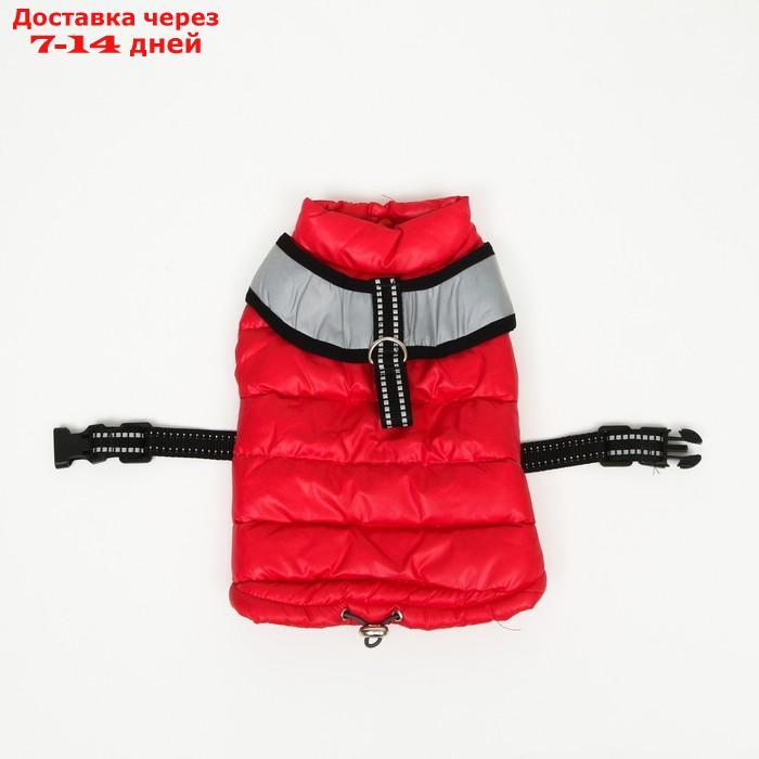 Куртка для собак со светоотражающей шлейкой, размер14 (ДС 32 ОГ 42 ОШ 31), розовая - фото 2 - id-p212677248