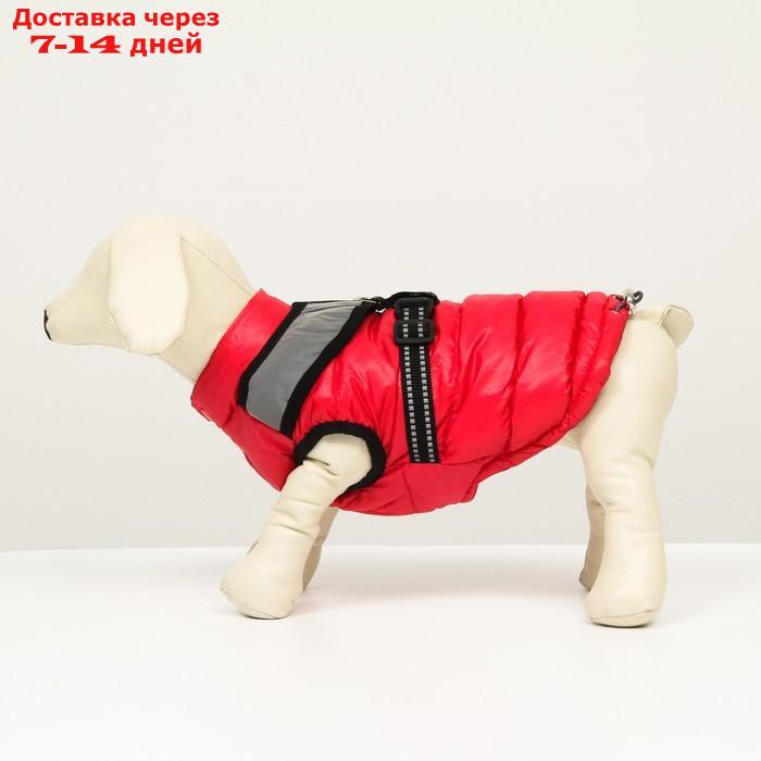 Куртка для собак со светоотражающей шлейкой, размер14 (ДС 32 ОГ 42 ОШ 31), розовая - фото 5 - id-p212677248