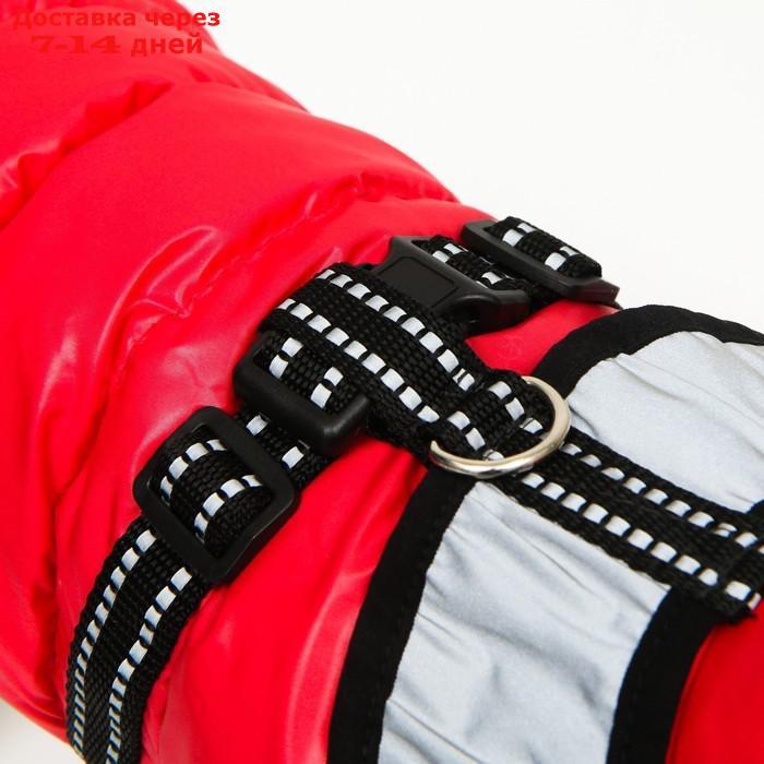 Куртка для собак со светоотражающей шлейкой, размер14 (ДС 32 ОГ 42 ОШ 31), розовая - фото 7 - id-p212677248