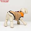 Куртка для собак на молнии, размер 8 (ДС 23 см, ОГ 30, ОГ 22 см), бежевая с оранжевым, фото 3