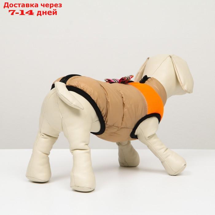 Куртка для собак на молнии, размер 8 (ДС 23 см, ОГ 30, ОГ 22 см), бежевая с оранжевым - фото 3 - id-p212677253