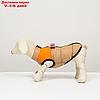 Куртка для собак на молнии, размер 8 (ДС 23 см, ОГ 30, ОГ 22 см), бежевая с оранжевым, фото 4