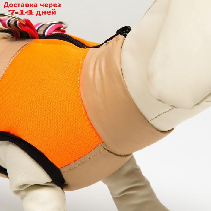 Куртка для собак на молнии, размер 8 (ДС 23 см, ОГ 30, ОГ 22 см), бежевая с оранжевым - фото 5 - id-p212677253