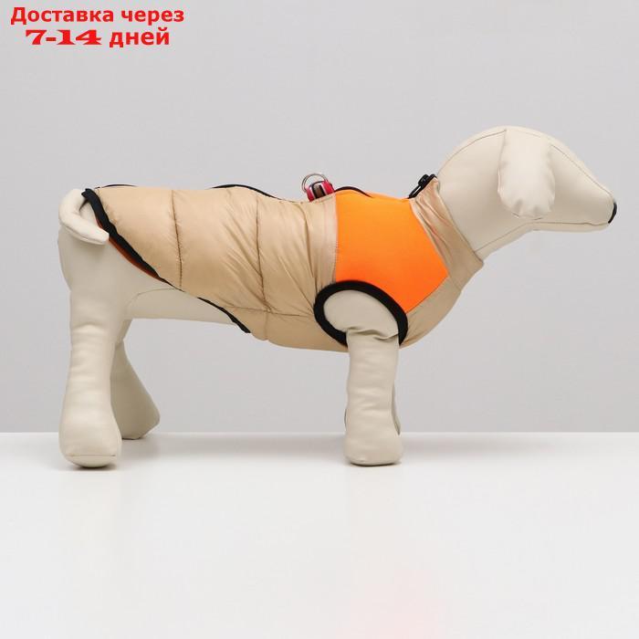 Куртка для собак на молнии, размер 18 (ДС 40 см, ОГ 50 см, ОШ 38 см), бежевая с оранжевым - фото 2 - id-p212677254