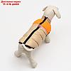 Куртка для собак на молнии, размер 18 (ДС 40 см, ОГ 50 см, ОШ 38 см), бежевая с оранжевым, фото 3