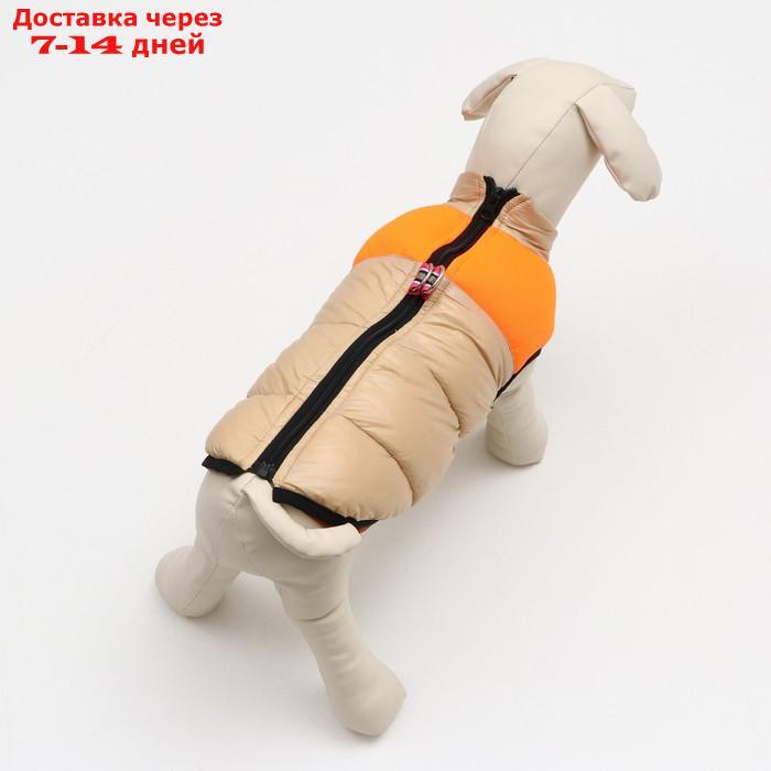 Куртка для собак на молнии, размер 18 (ДС 40 см, ОГ 50 см, ОШ 38 см), бежевая с оранжевым - фото 3 - id-p212677254
